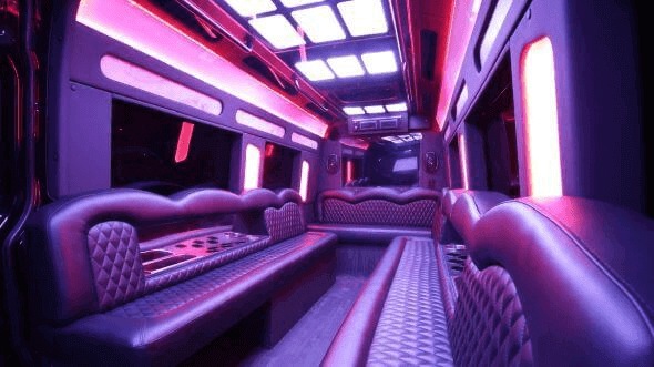 Interior of North Augusta Party Bus Company's 18 Passenger Party Bus in North Augusta