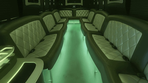 18 passenger party bus interior
